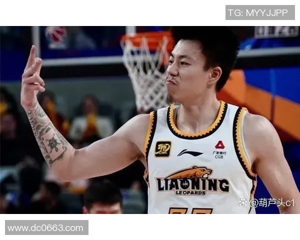 辽宁对阵新疆精彩全场录像回顾及赛后分析分享